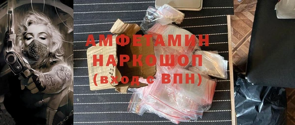 молекула духа Осташков